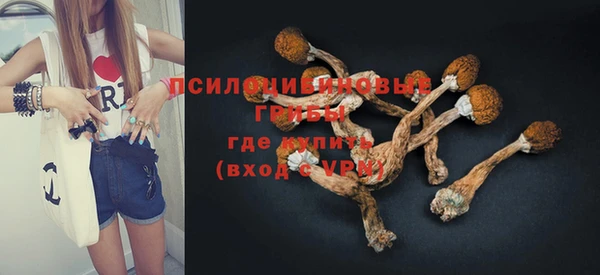 PSILOCYBIN Алексеевка